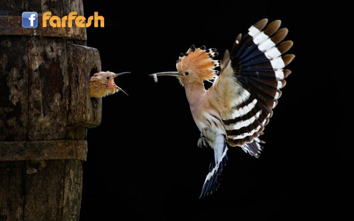 �� ���� �������