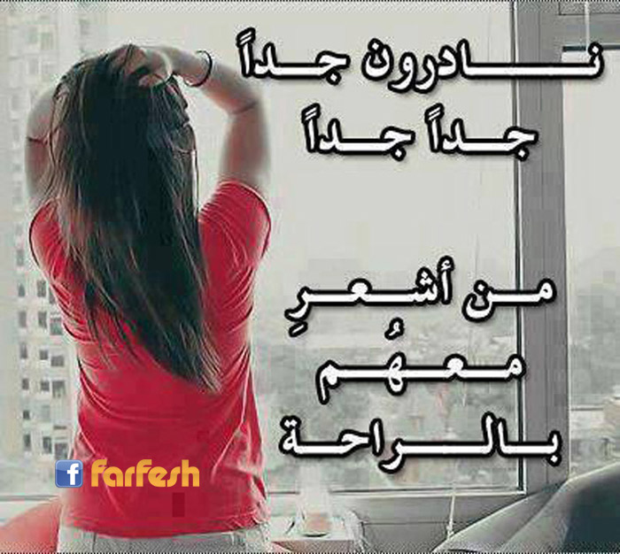 ������ �� ���� ���� �������