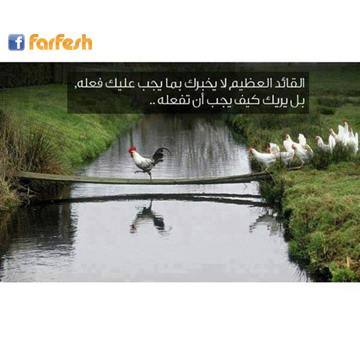 ��� ���� ������ �������