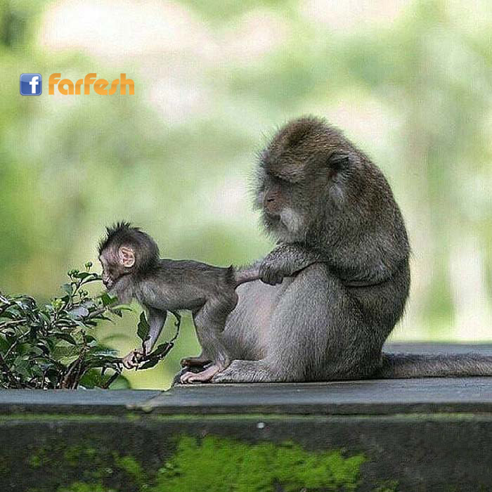 ��� ���� ����  :-)