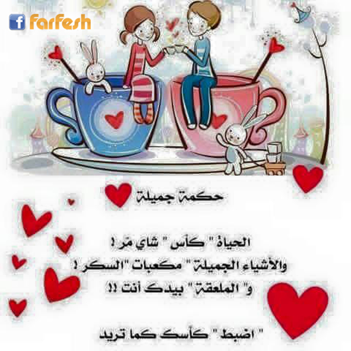 ���� �����