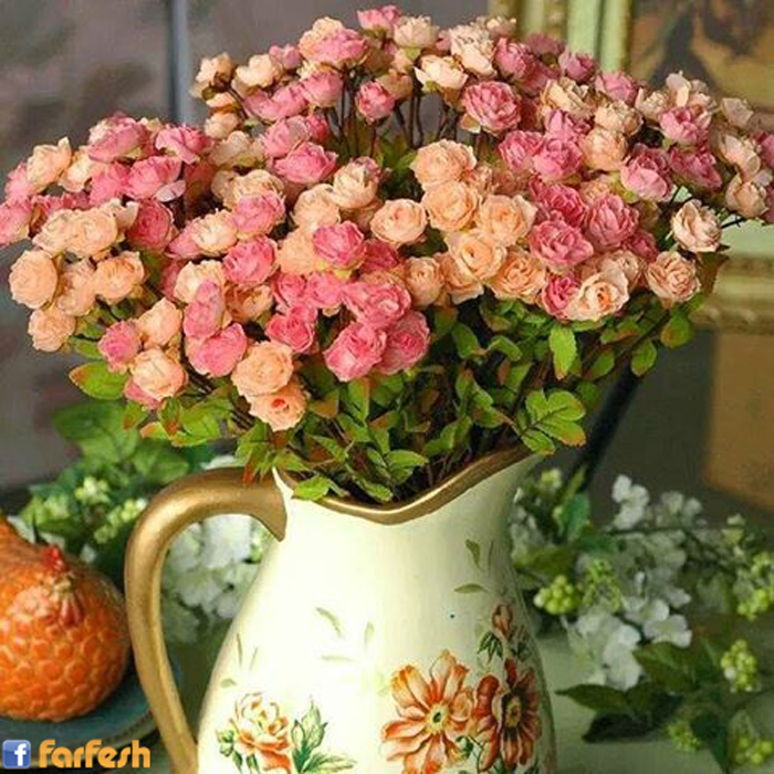 ���� ������