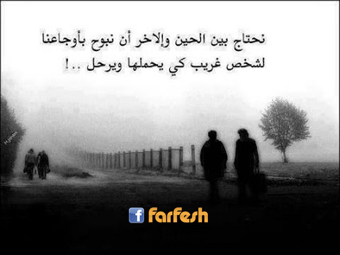 ����� ������ ���� ����