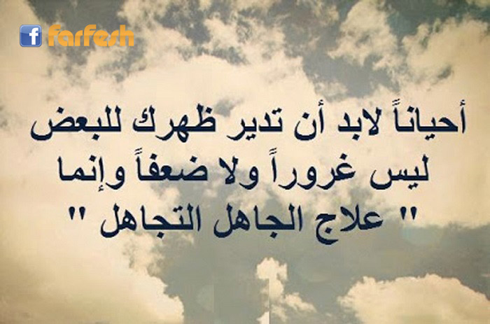 ���� ������ �������