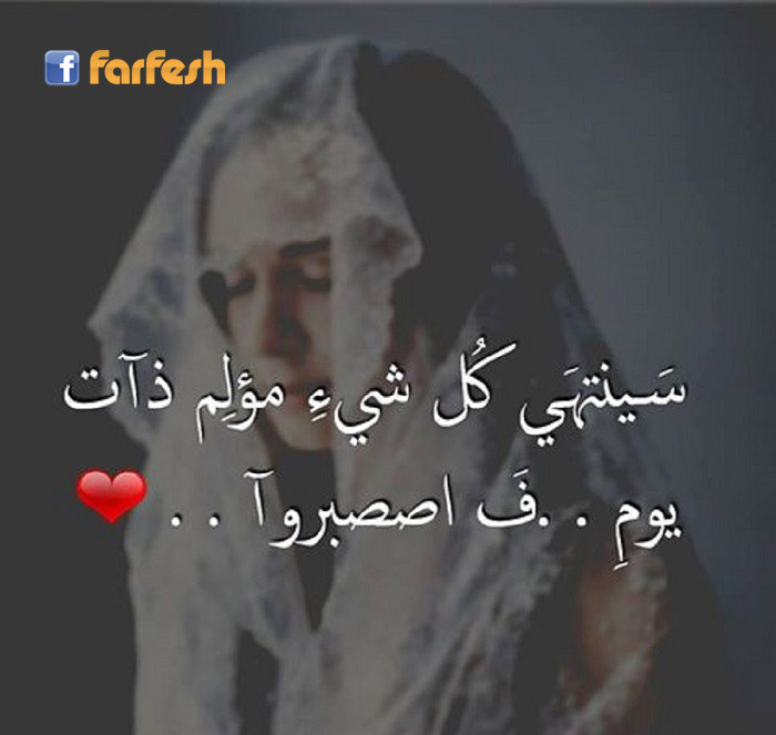 ���� ������