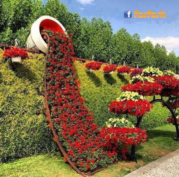 ���� ����� �������