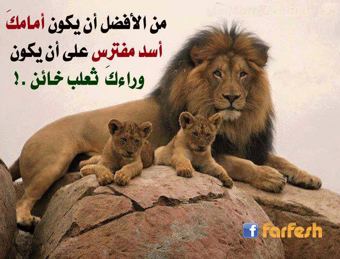 �� ������ �� ���� ����� ��� ����� ��� �� ���� ����� ����