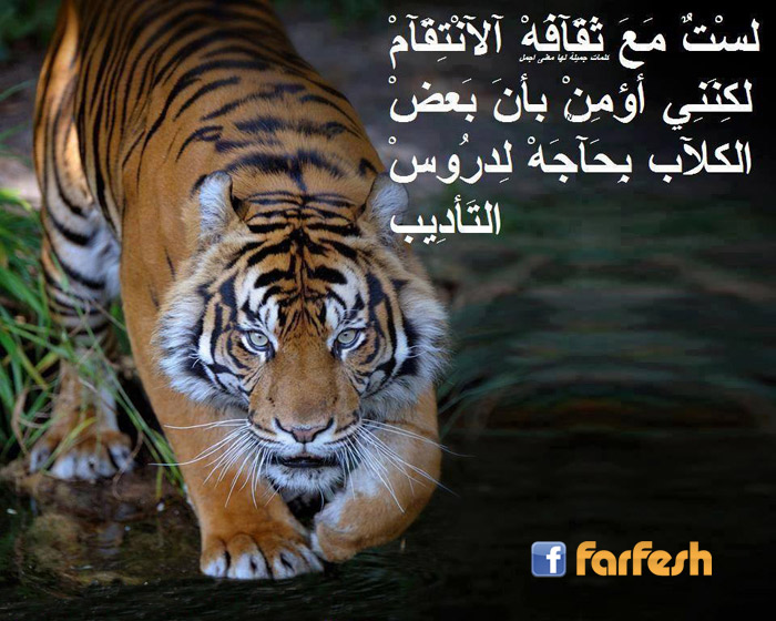 ��� �� ����� �������� ����� ���� ��� ..