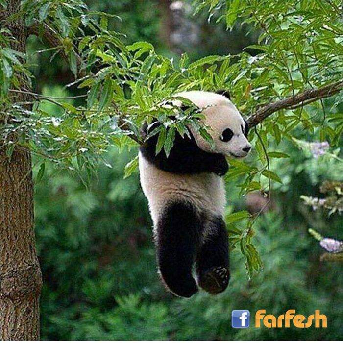 ��� ��� ��� ��� �� ������