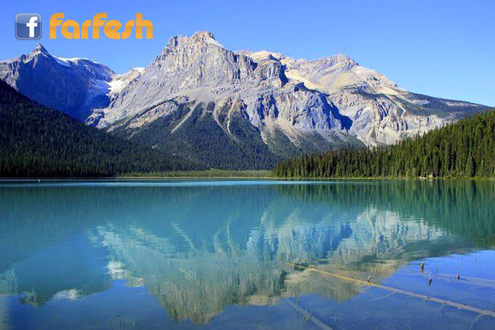 ����� ������� - ����