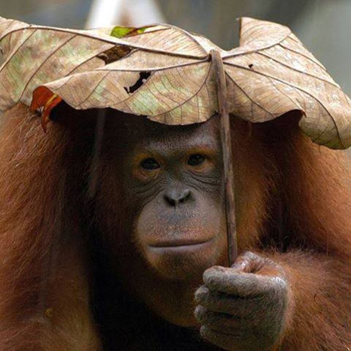 ���� ���� ��� ���� �� ���� ���