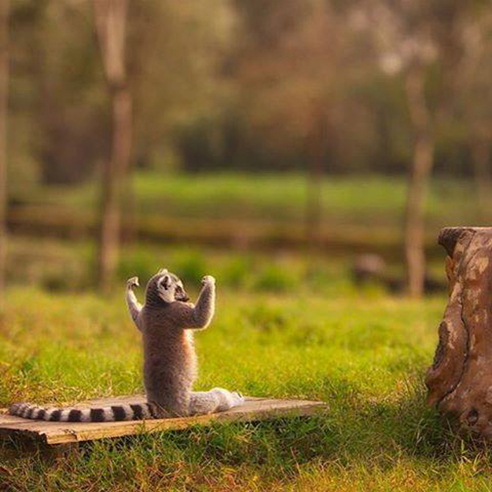 ������ ��� ����� !!