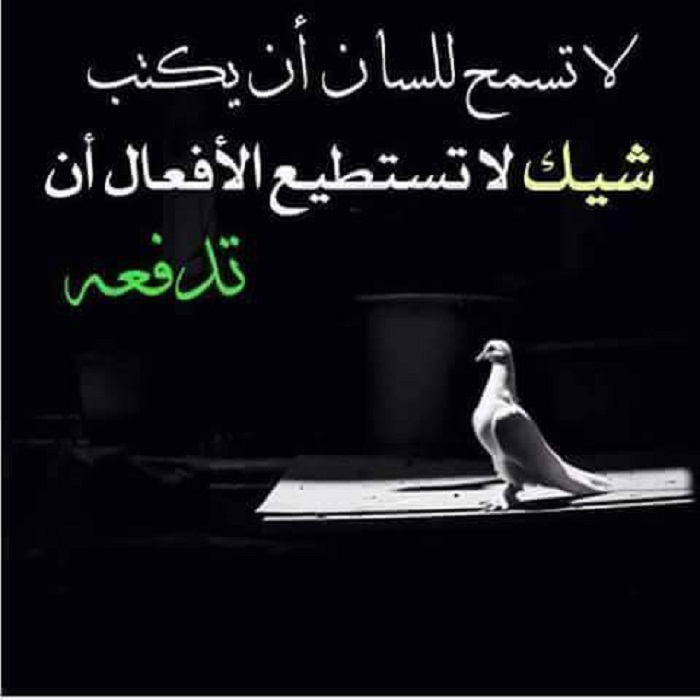 �� ���� �������