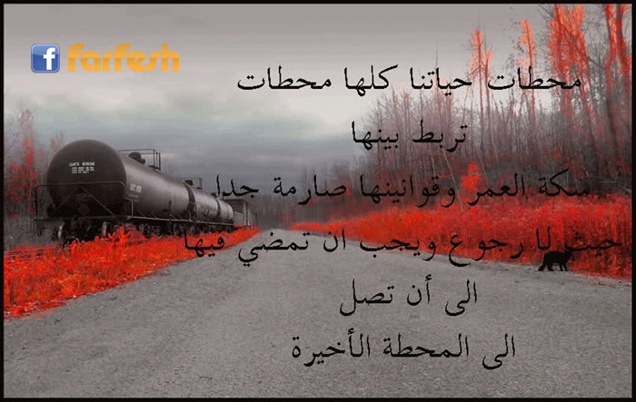 ...������ ���� �����