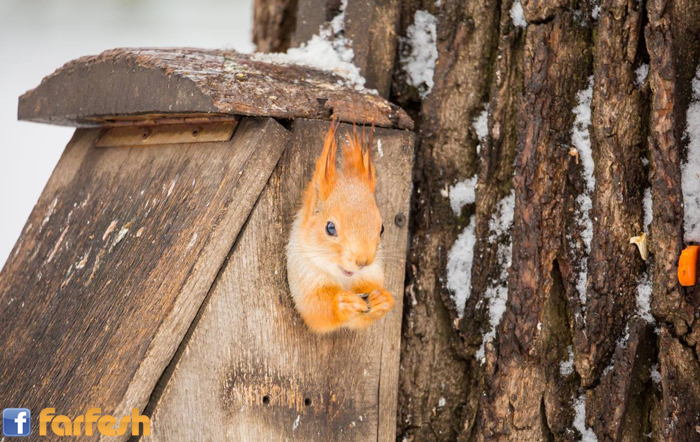 ���� �����..