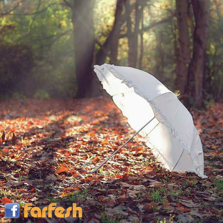 �� ���� �� ������� ! �� ��� ���� ����� ���� ��� ���� �����