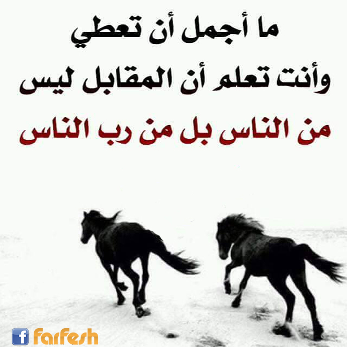 �� ���� �� ���� ���� ���� �� ������� ��� �� ����� �� �� �� �����