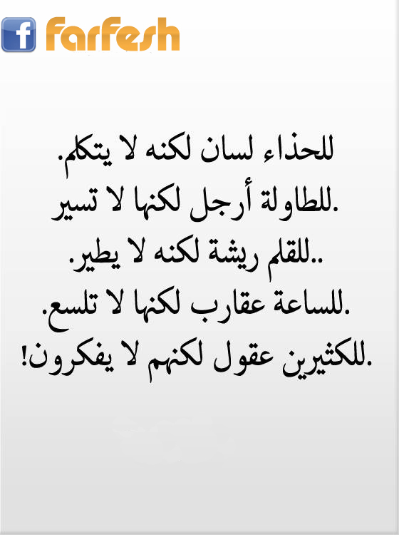 ������ ���� ���� �� �����