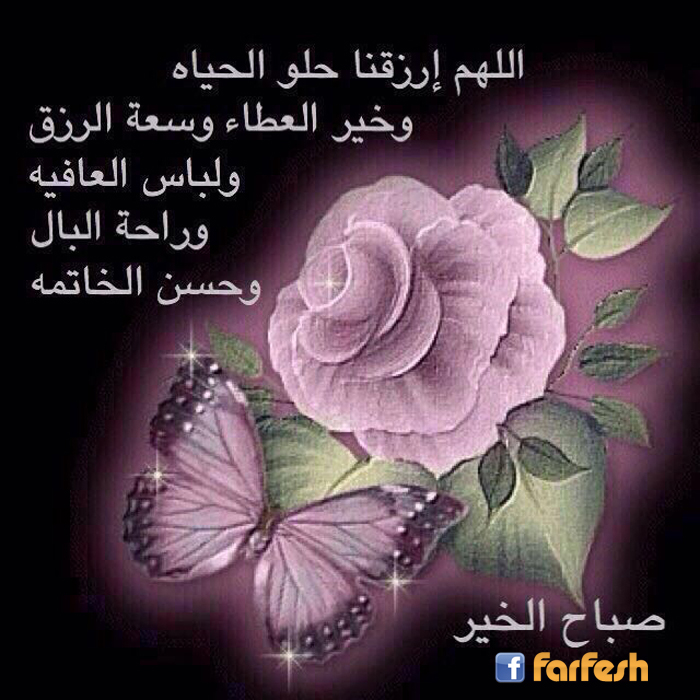 ���� �����