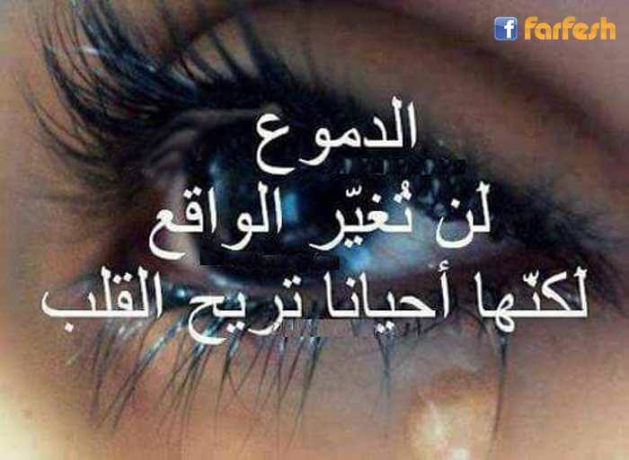 ������ �� ���� ������