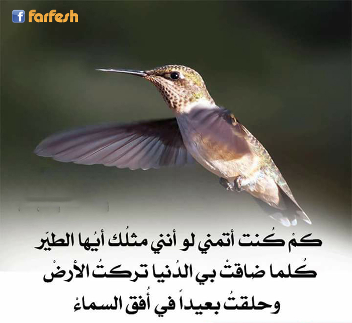 �� ��� ����� �� ���� ���� ���� �����