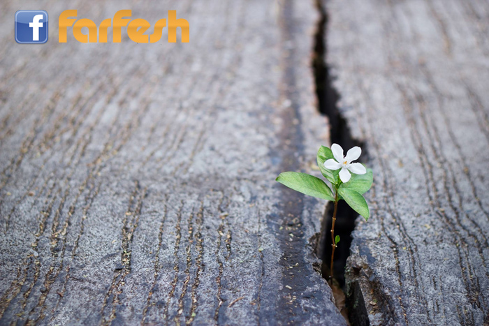 ���� �� ���� ���� �� ������