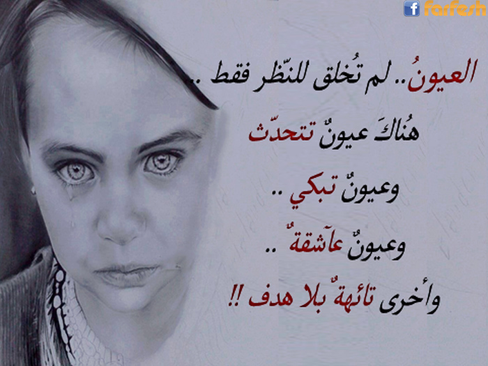 �� ���� ��� ��� ������