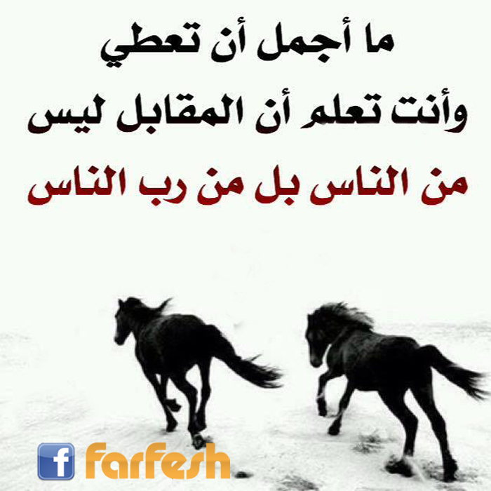 �� ���� �� ���� ���� ���� �� ������� �� �� �����