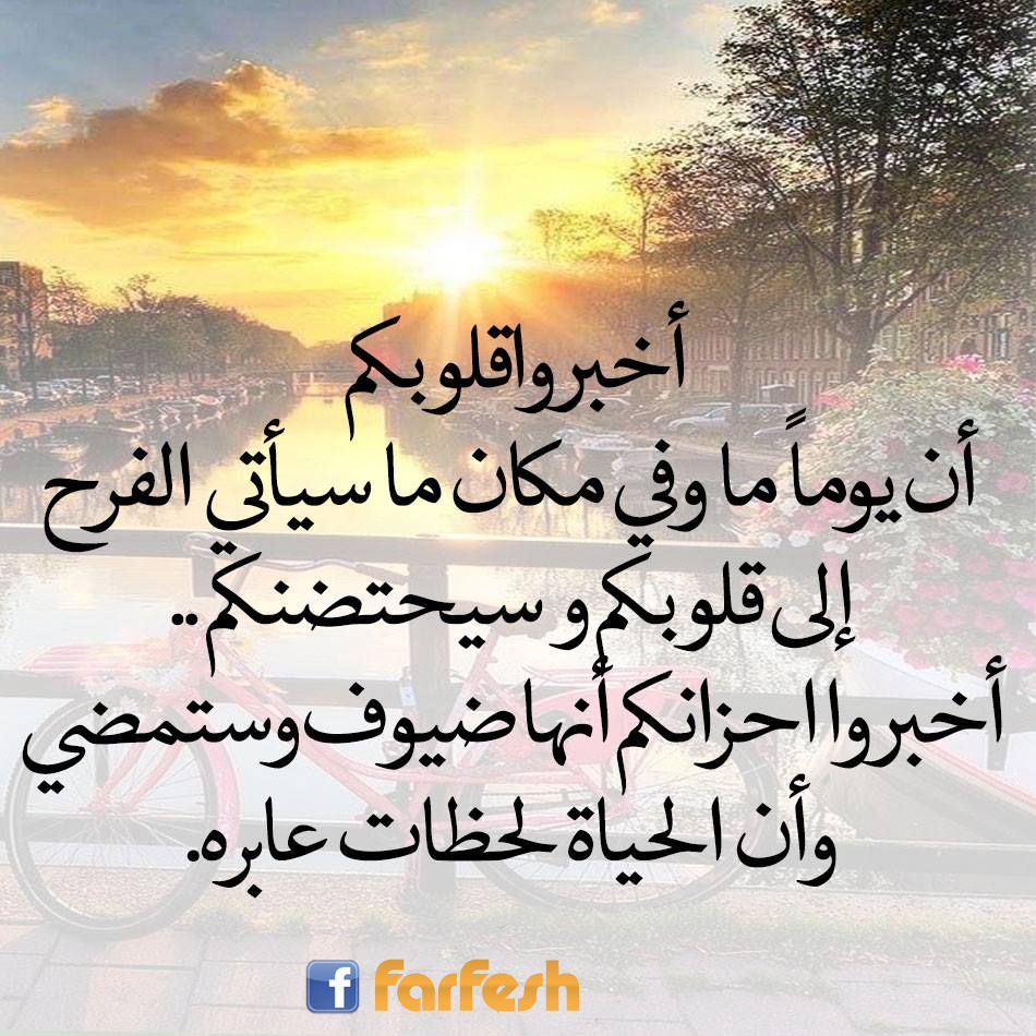 ������ ������� ���� ���� ������