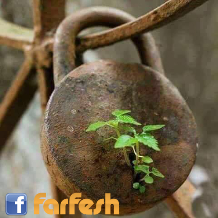 ���� ���� �������� ���� 