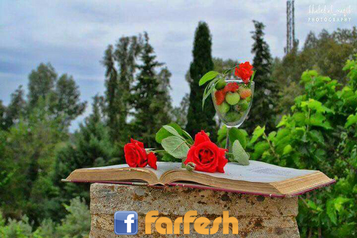 ���� ����� �������� ��� ����� ����� ������ ����� ������