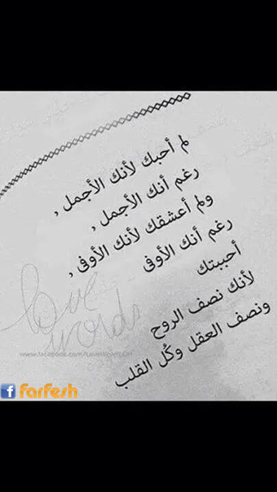 ���� ���� ������