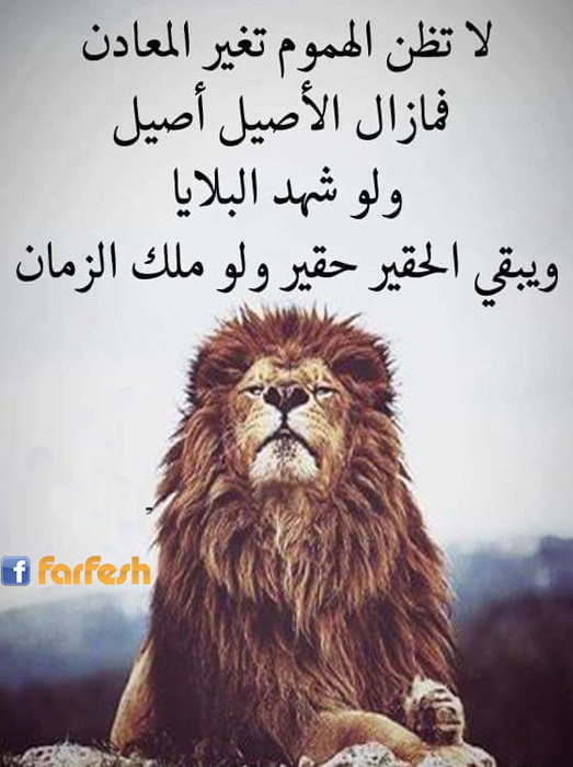 �� ��� �� ������ ���� �������