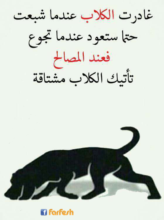 ����� ������ ����� ����