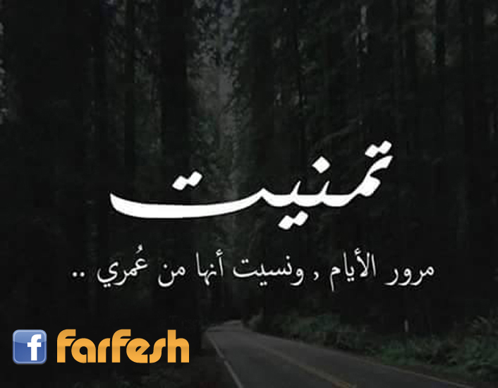 ����� ���� ������ ����� ���� �� ����