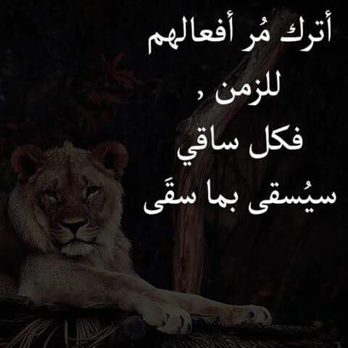 ���� �� ������� ����� ��� ���� ����� ��� ���