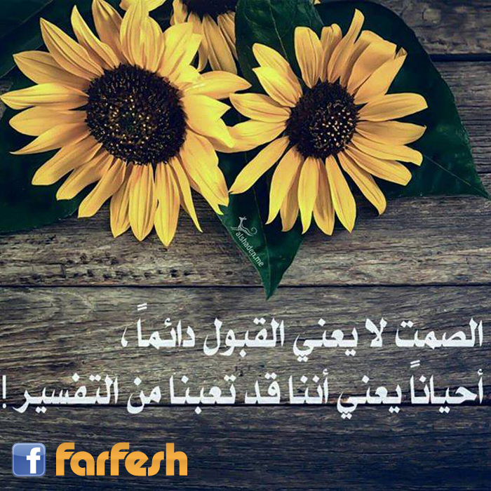 ����� �� ���� ������ �����