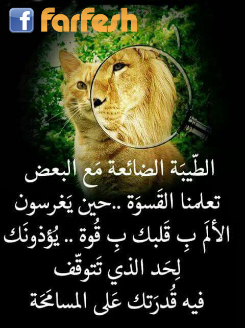 ������ ������� ��  ����� ������ ������