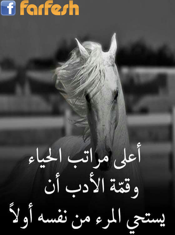 ������� ���� 100%