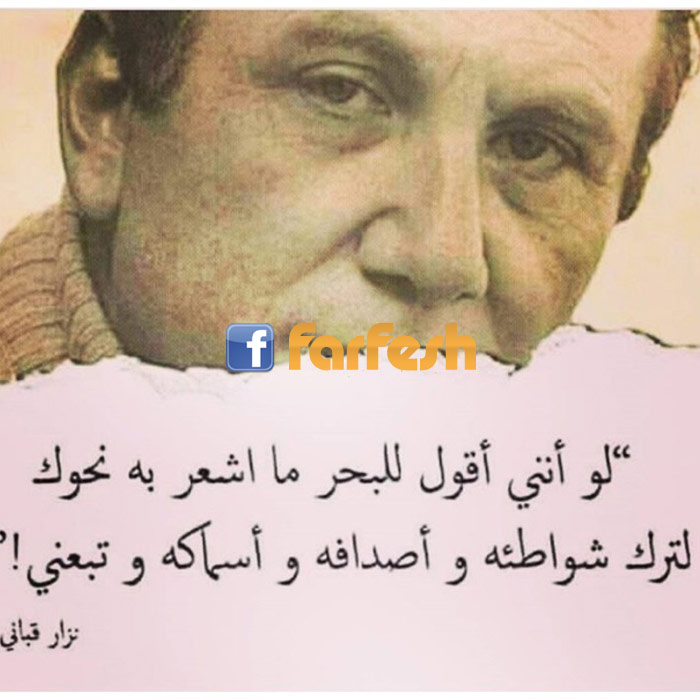 ���� ��� ������ ������