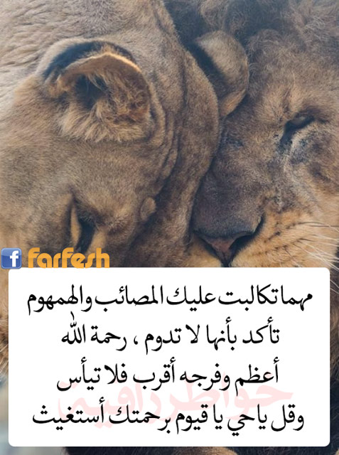 ���� ���� ���� ����� ���� ��� ����