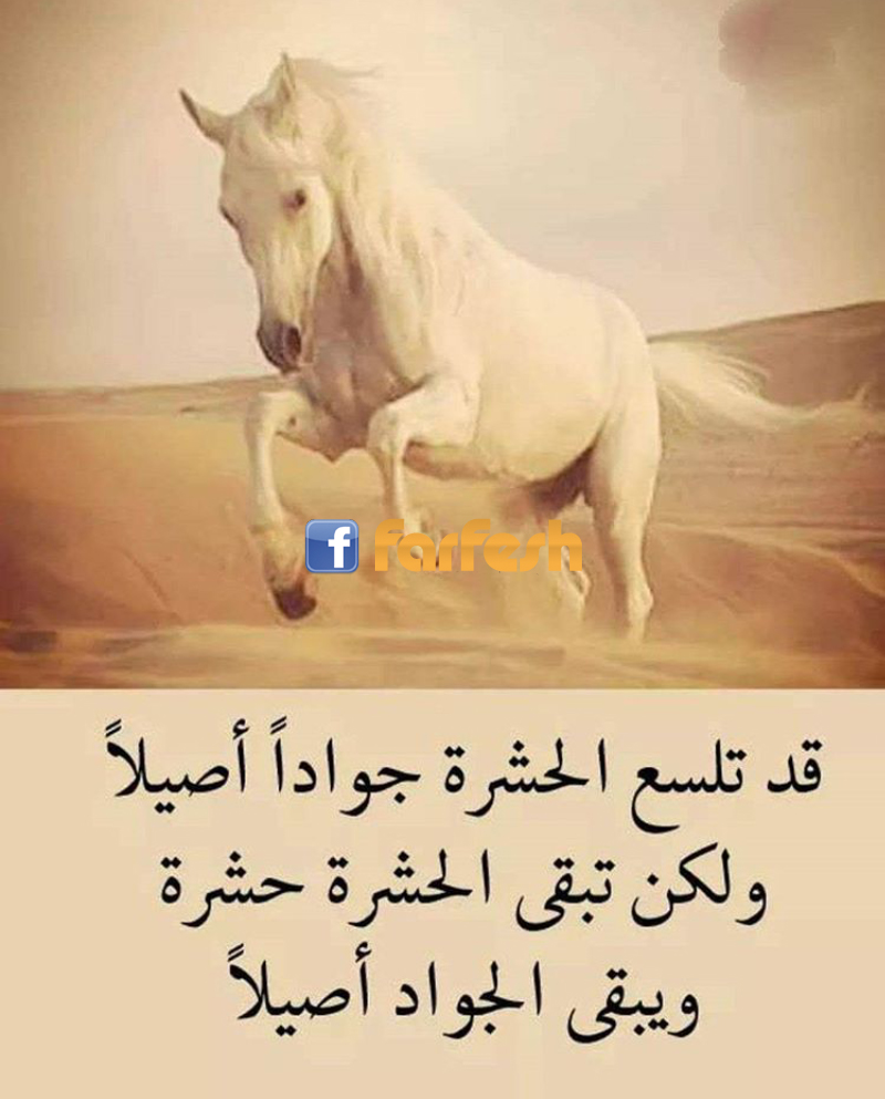 ����� ������ ������