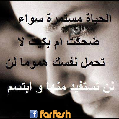 ����� ����� ������ �� ���� ��� ������ ����