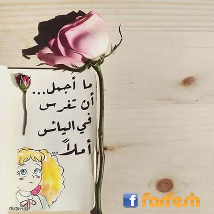 �� ���� �� ���� �� ����� �����