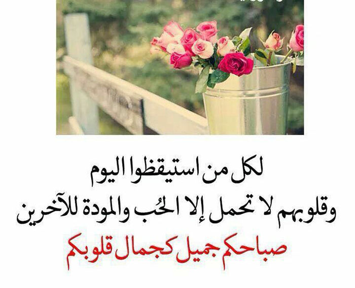 ������ ���� ����� ������