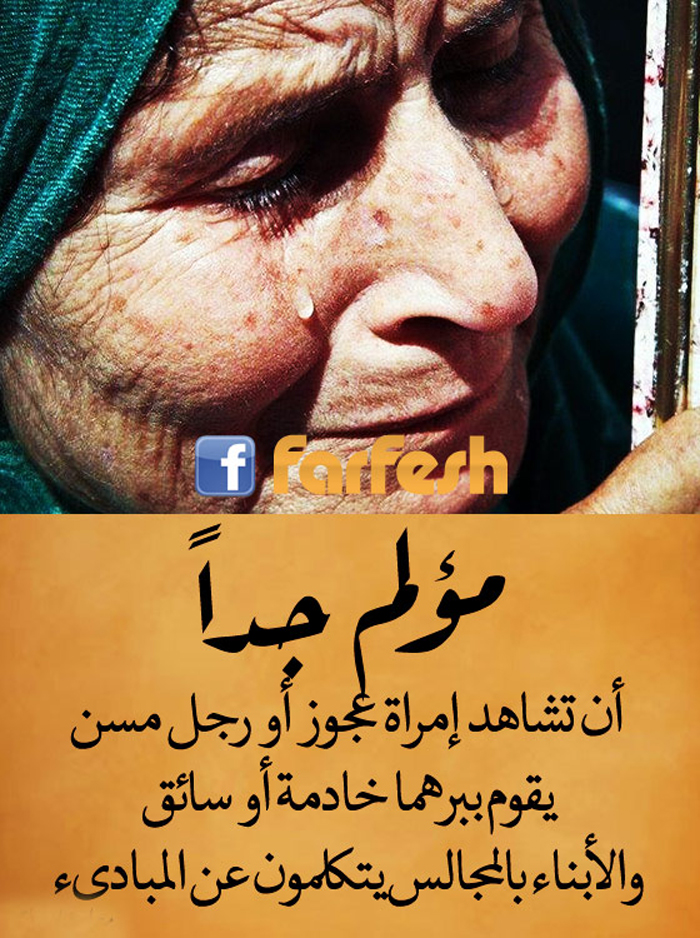 ���� ����