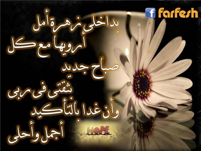 ���� ����� �������