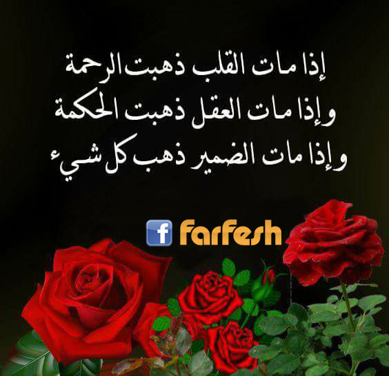 ��� ��� ������ ��� �� ���