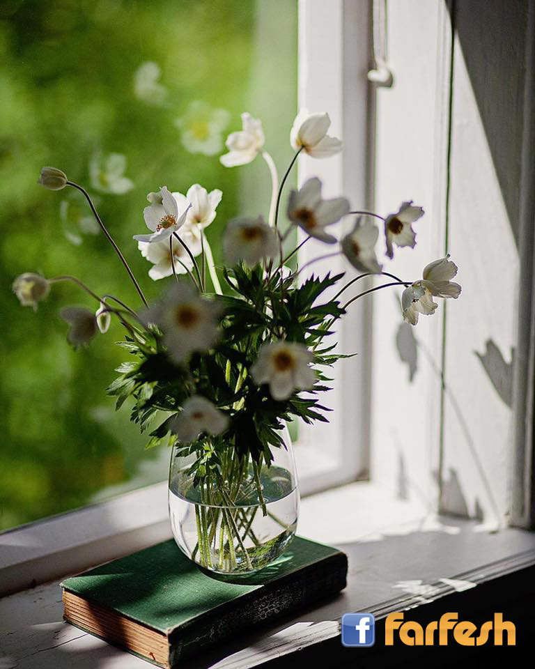 ���� ���� �� ������ ���� ���� ���� ��� ����� �����