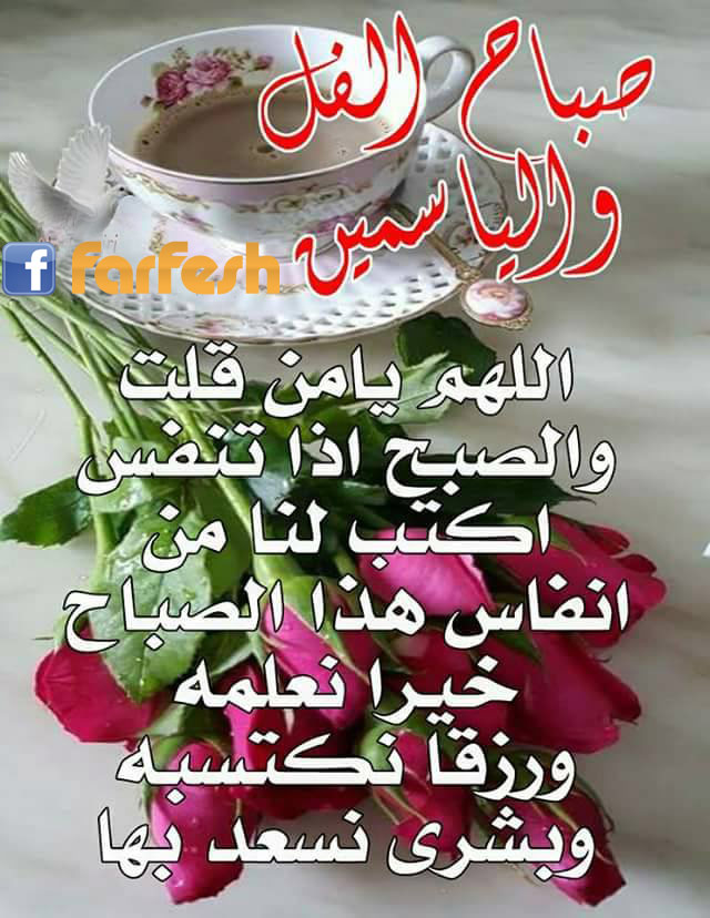 ���� ���� ���������